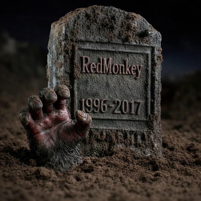 RedMonkey teaser flyer